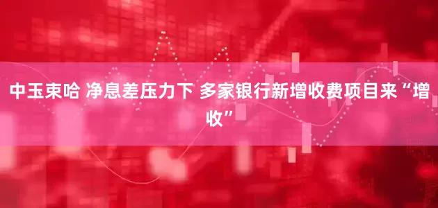 中玉束哈 净息差压力下 多家银行新增收费项目来“增收”