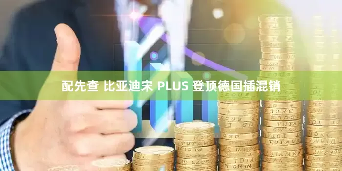 配先查 比亚迪宋 PLUS 登顶德国插混销